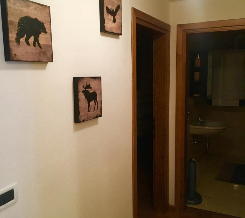 Photo of Others in Lozzo di Cadore