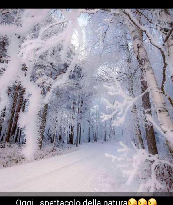 Photo of Outdoor in Granvilla