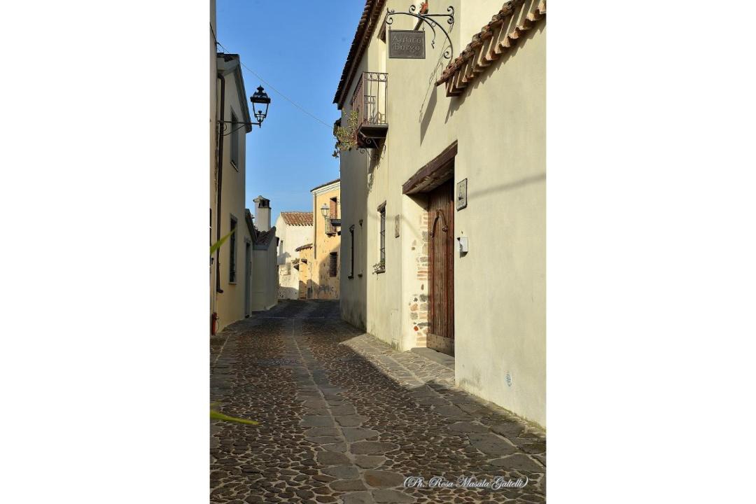 Photo of Others in Galtelli