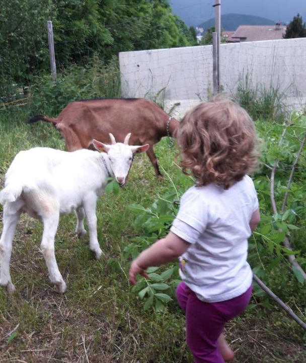 Photo of Others in Brunico