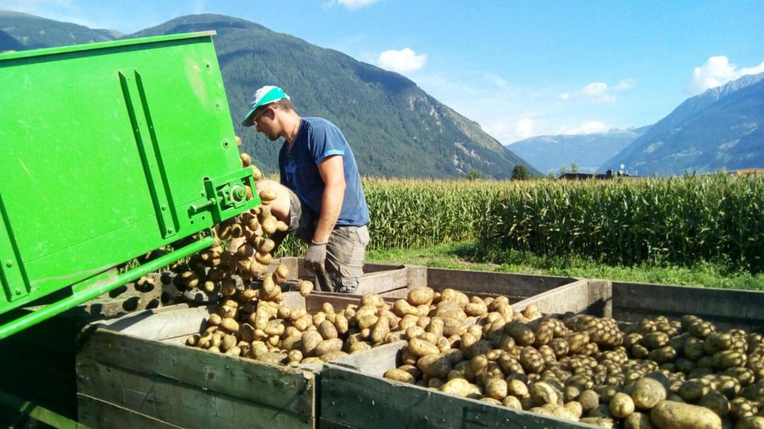 Photo of Others in Brunico