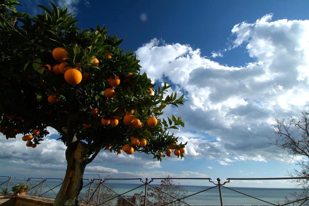 Photo of Others in Grottammare