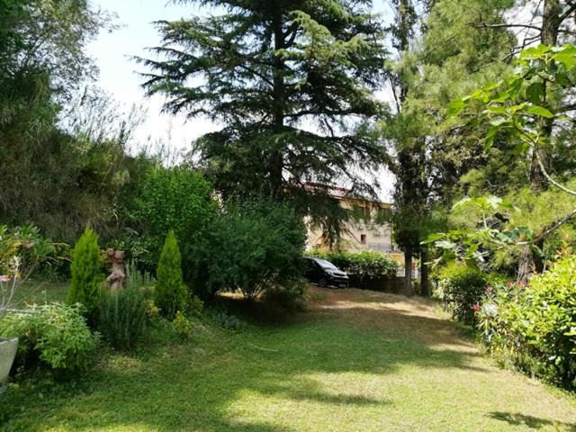 Photo of Others in Palaia
