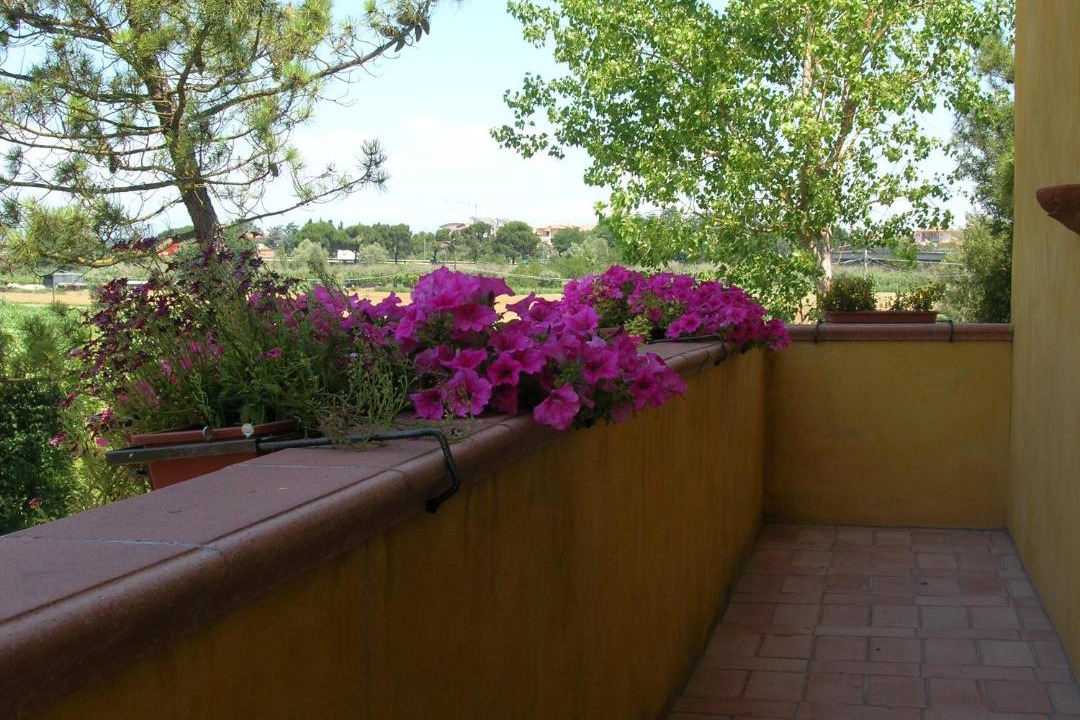 Photo of Patio Balcony in Montopoli in Val d'Arno