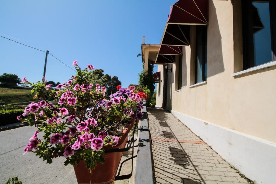 Photo of Buildings in Caltagirone