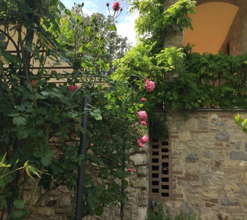 Photo of Others in Villa A Sesta