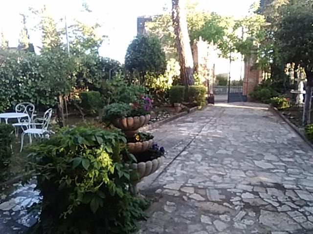 Photo of Others in Montefollonico