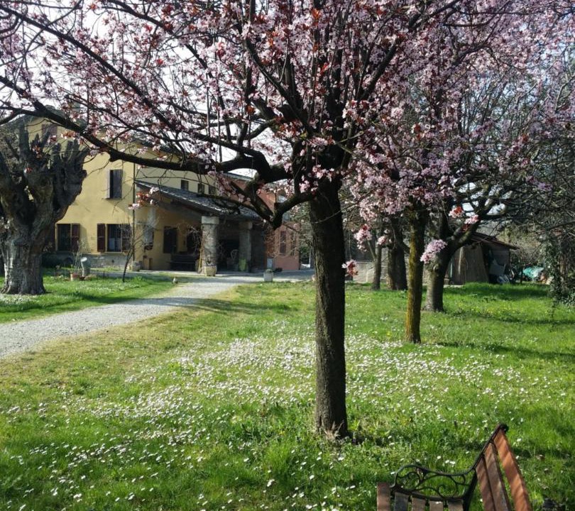 Photo of Others in Scarzara