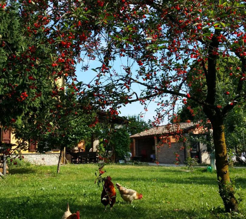 Photo of Others in Scarzara