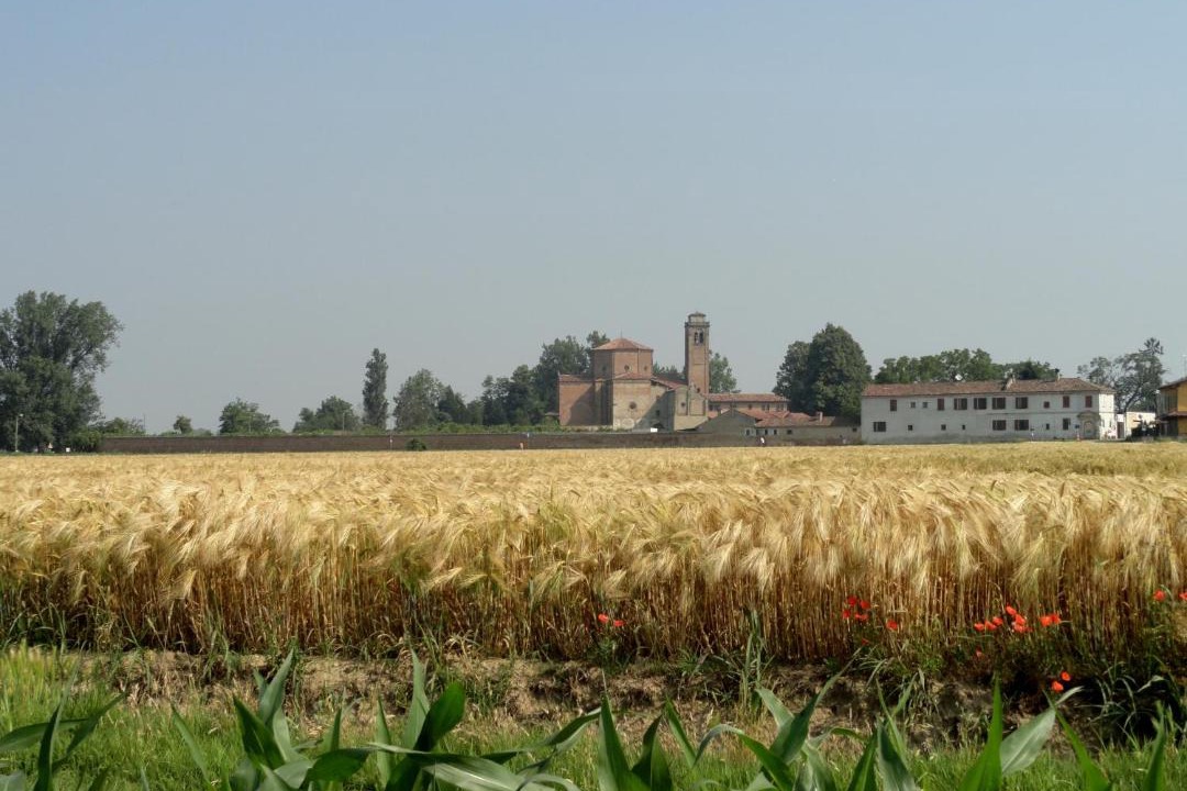 Photo of Outdoor in Castelleone