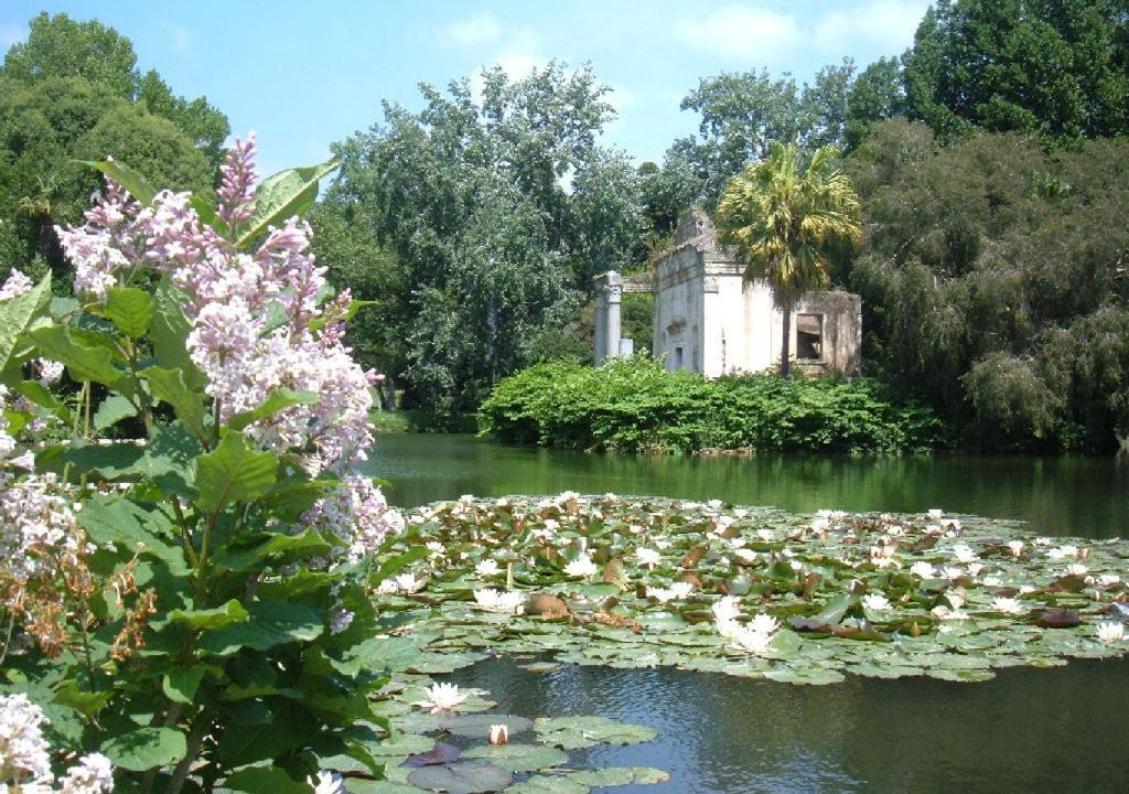 Photo of Outdoor in Falciano del Massico
