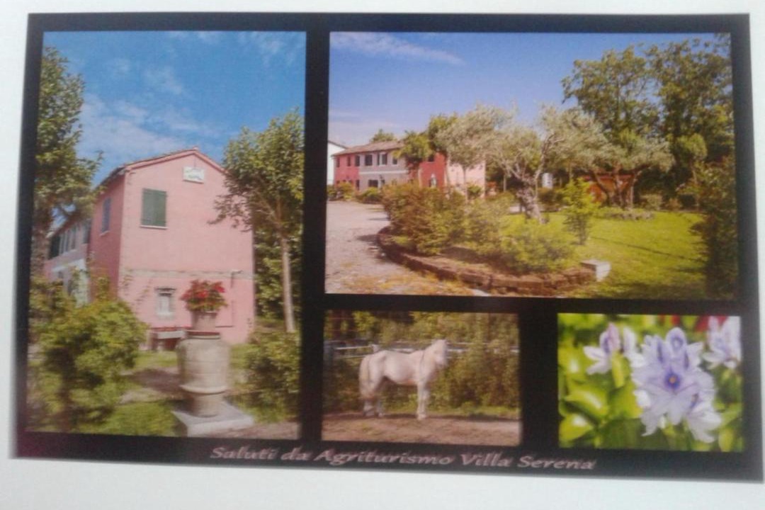 Photo of Others in Vigonovo