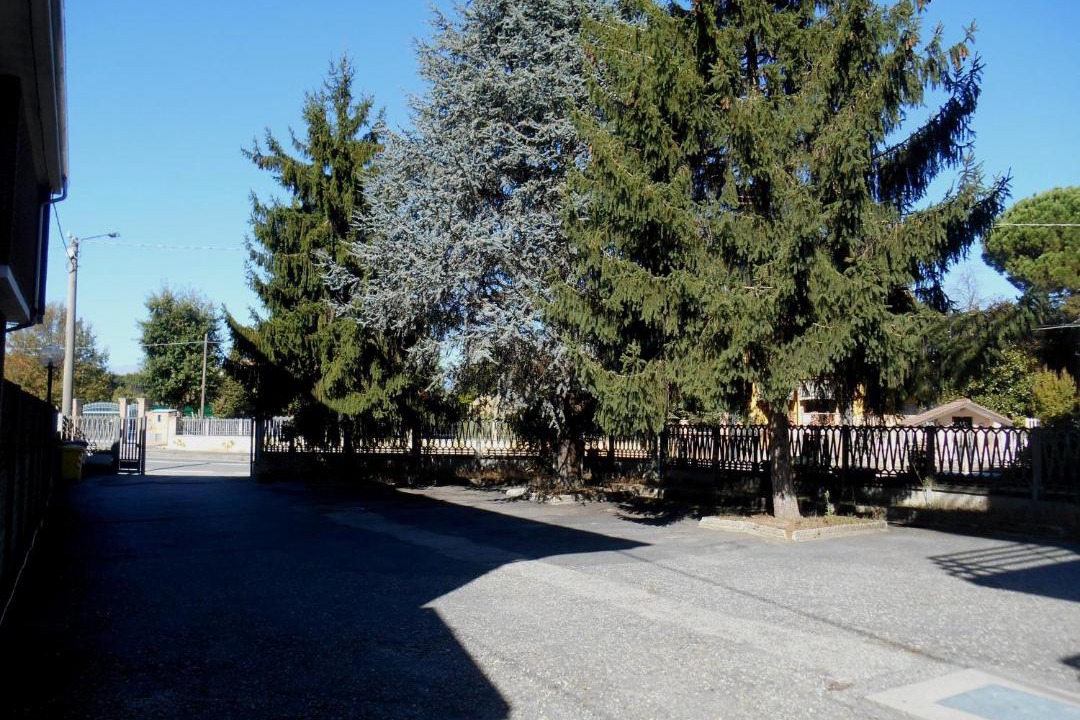 Photo of Others in Foglizzo