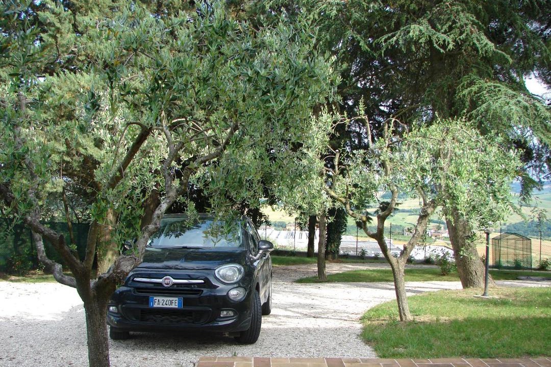 Photo of Others in Mogliano