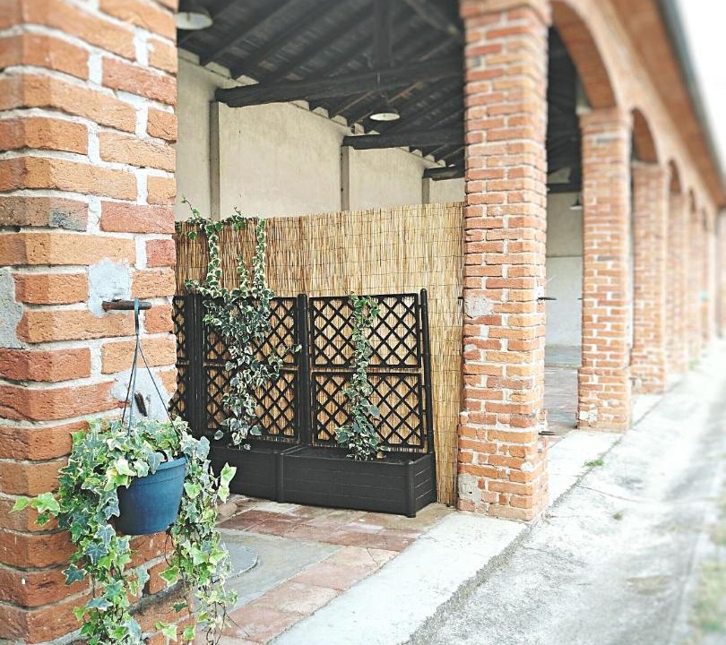 Photo of Others in Cremona