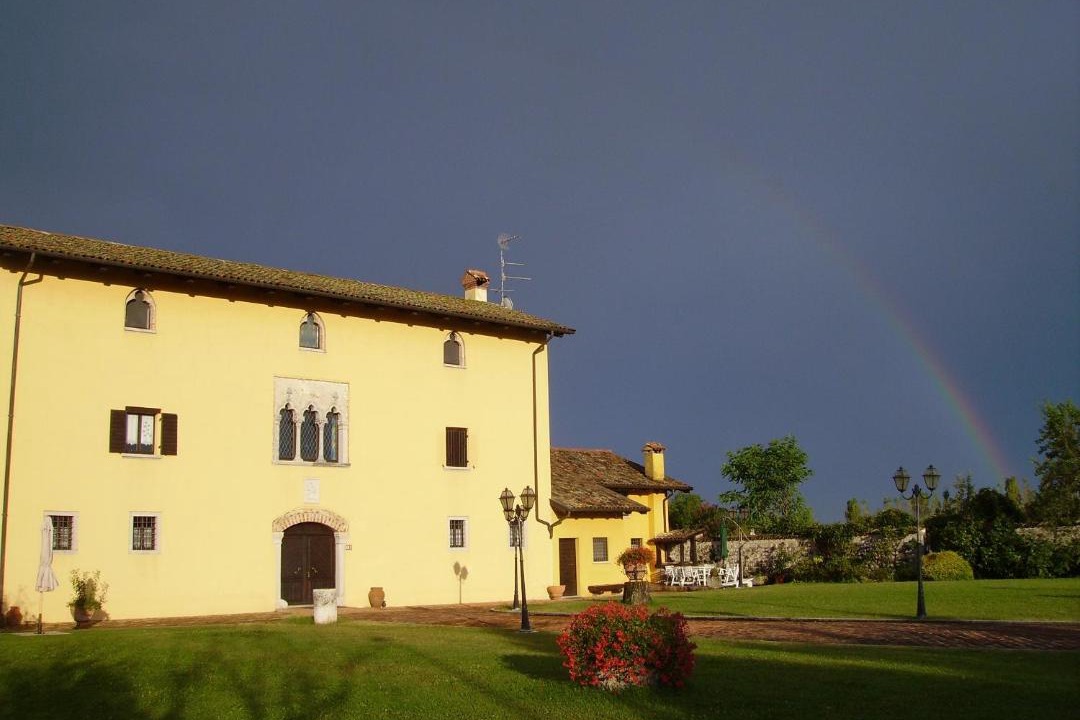 Photo of Others in Belvedere