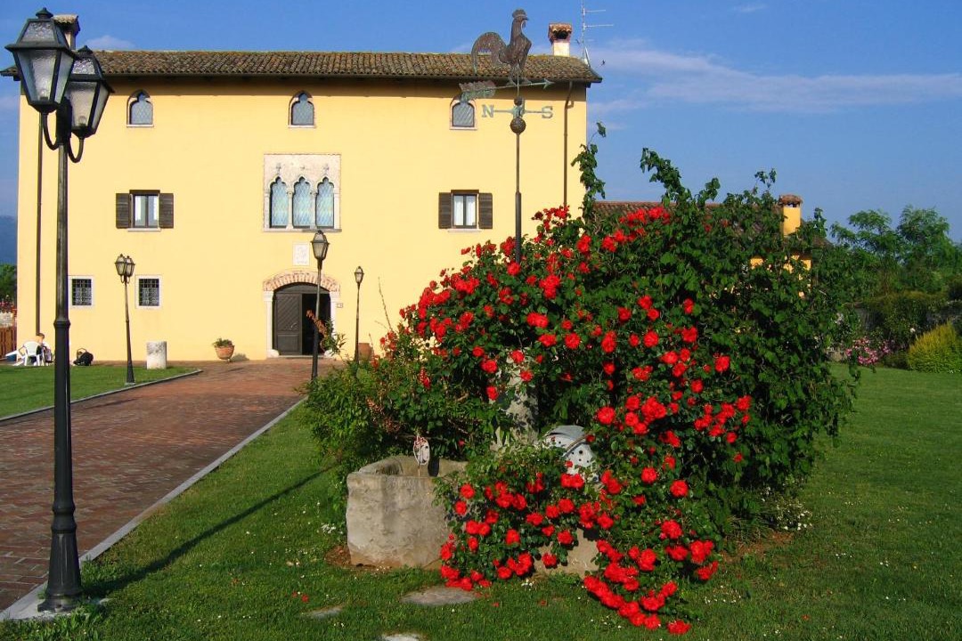 Photo of Others in Belvedere