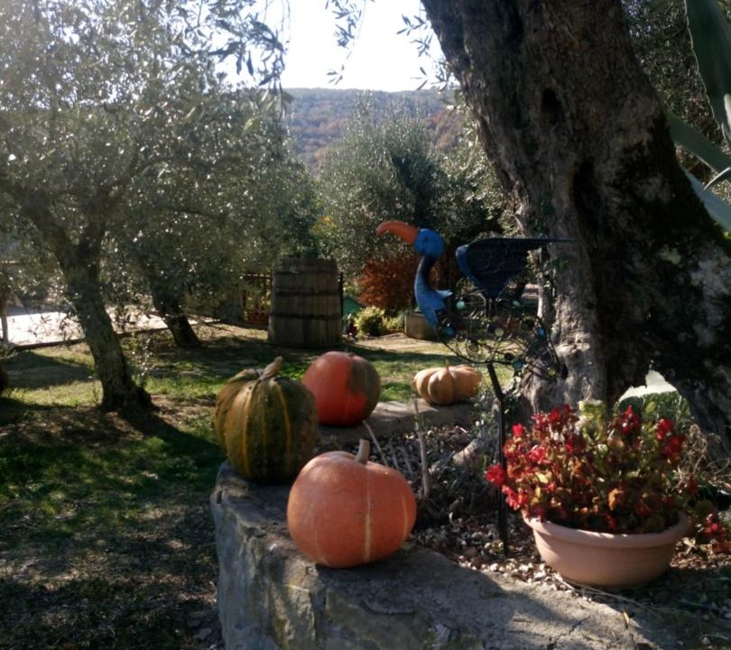 Photo of Others in Tuoro sul Trasimeno