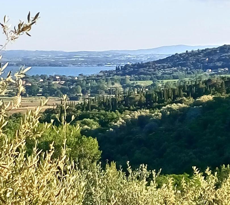 Photo of Outdoor in Tuoro sul Trasimeno
