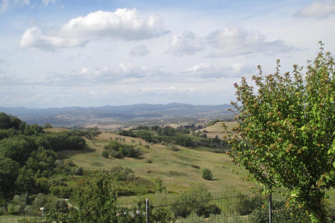 Photo of Others in Cinigiano