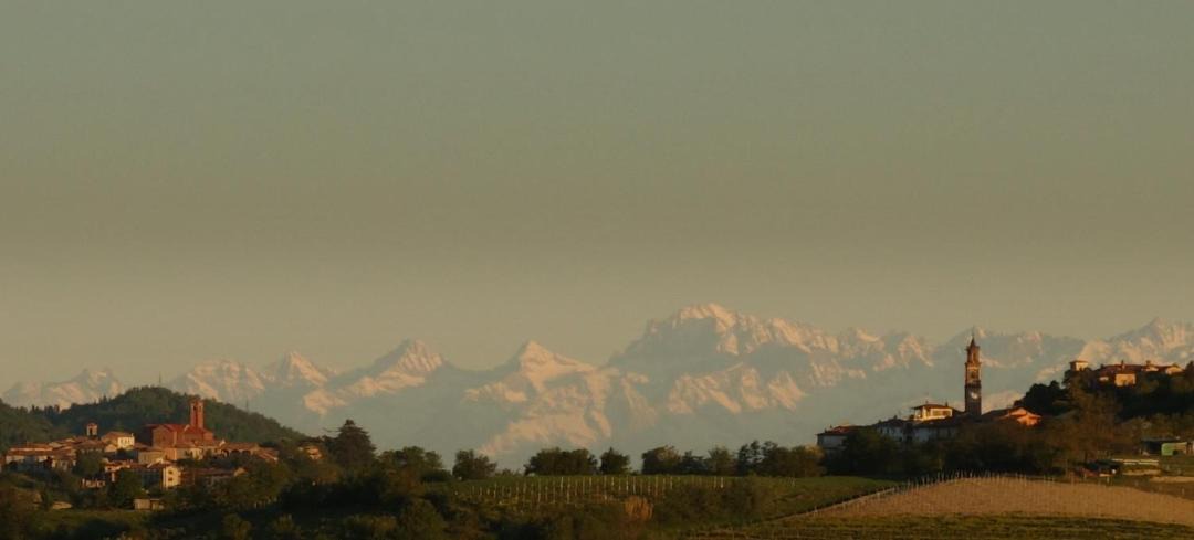 Photo of Others in Vignale Monferrato