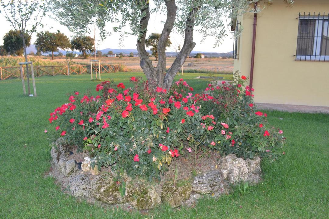 Photo of Others in Bovara