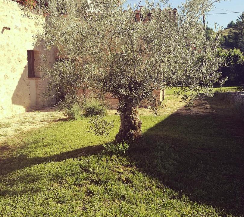 Photo of Others in Rieti