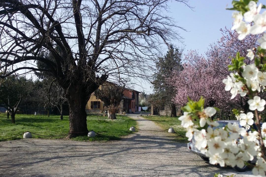Photo of Others in Scarzara
