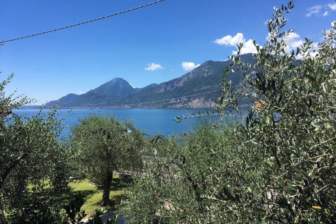 Photo of Others in Magugnago