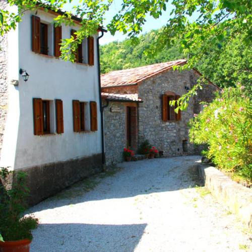 Photo of Others in Montieri