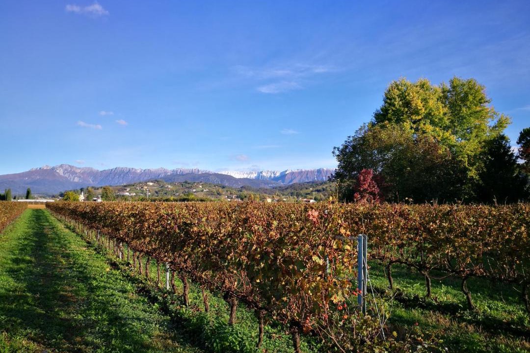 Photo of Outdoor in Povoletto