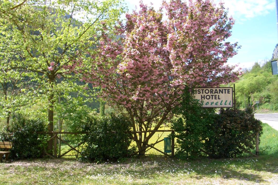Photo of Outdoor in Preci