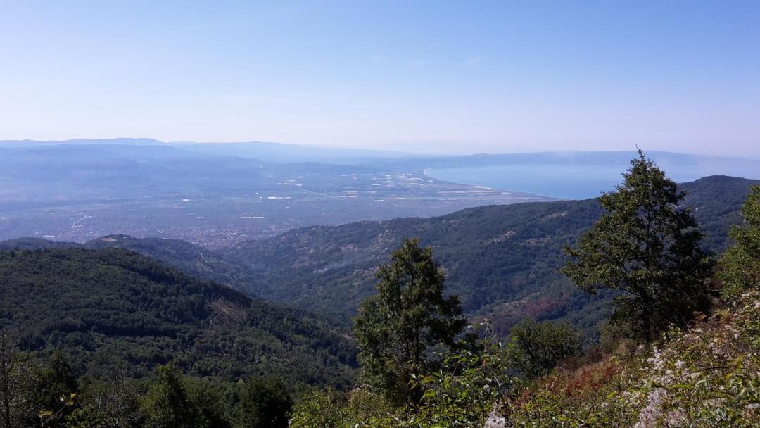 Photo of Outdoor in Platania