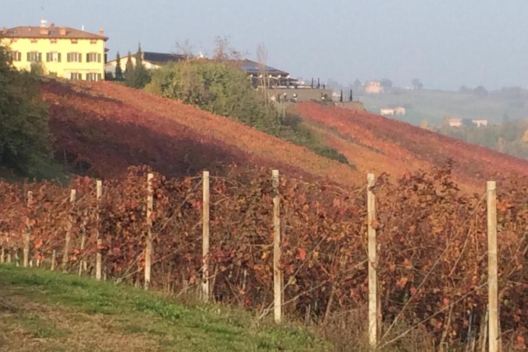 Photo of Others in Castelvetro di Modena