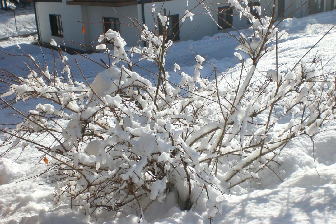 Photo of Outdoor in Villanova