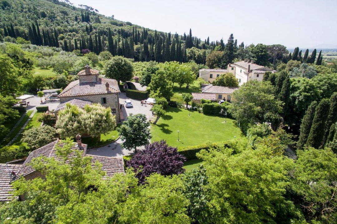 Photo of Others in Ossaia