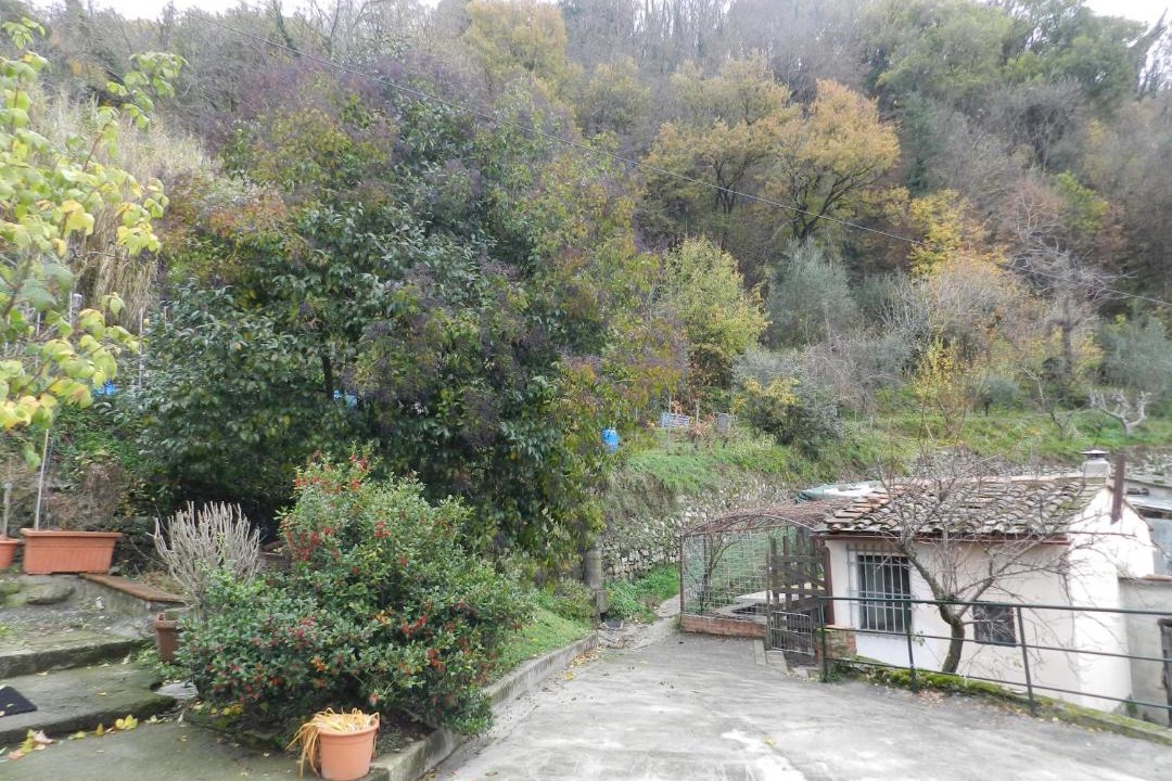 Photo of Others in Saturnana
