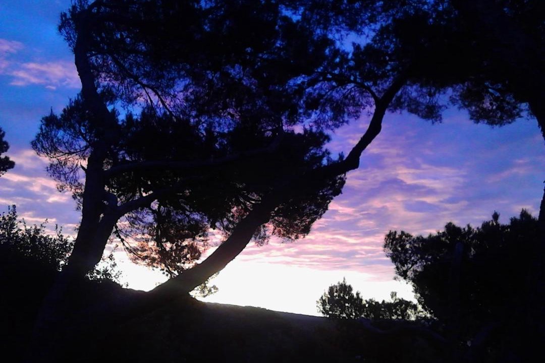 Photo of Others in Quercianella