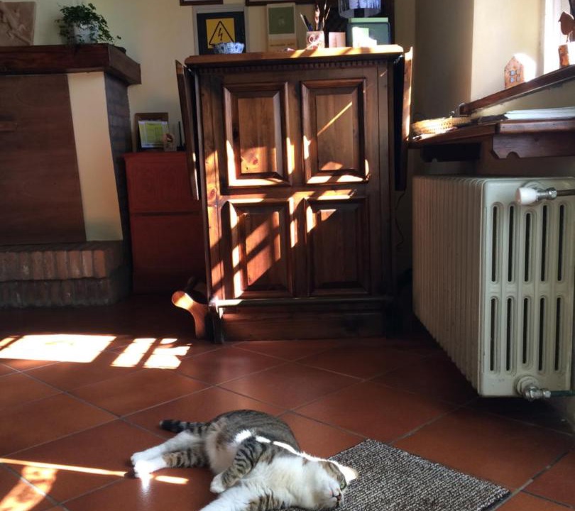 Photo of Livingroom in Carpena