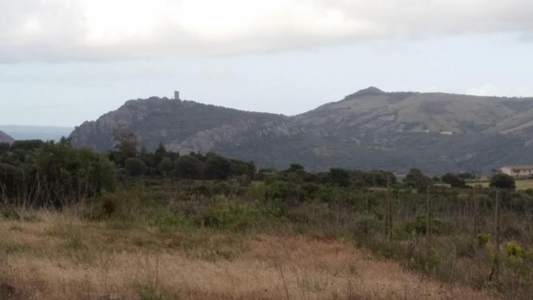Photo of Outdoor in Viddalba
