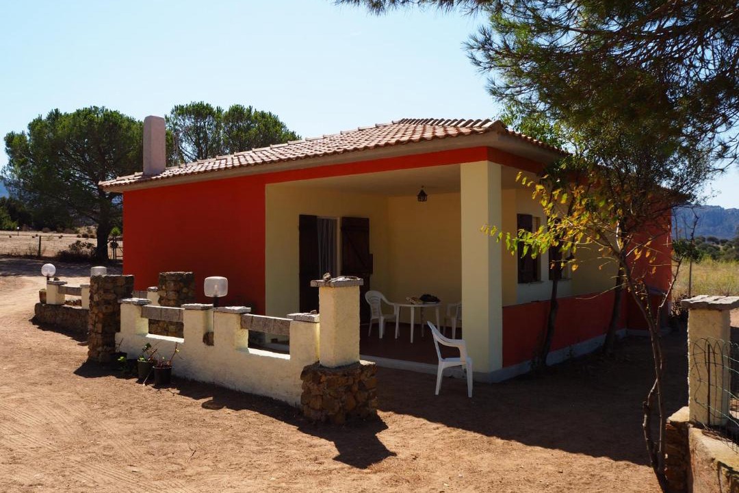 Photo of Others in Viddalba