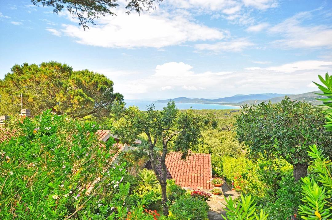 Photo of Outdoor in Punta Ala