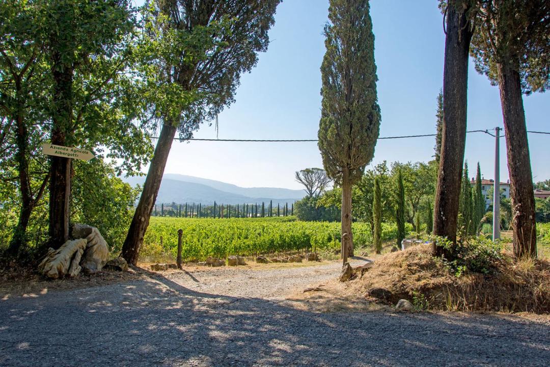Photo of Others in Arezzo