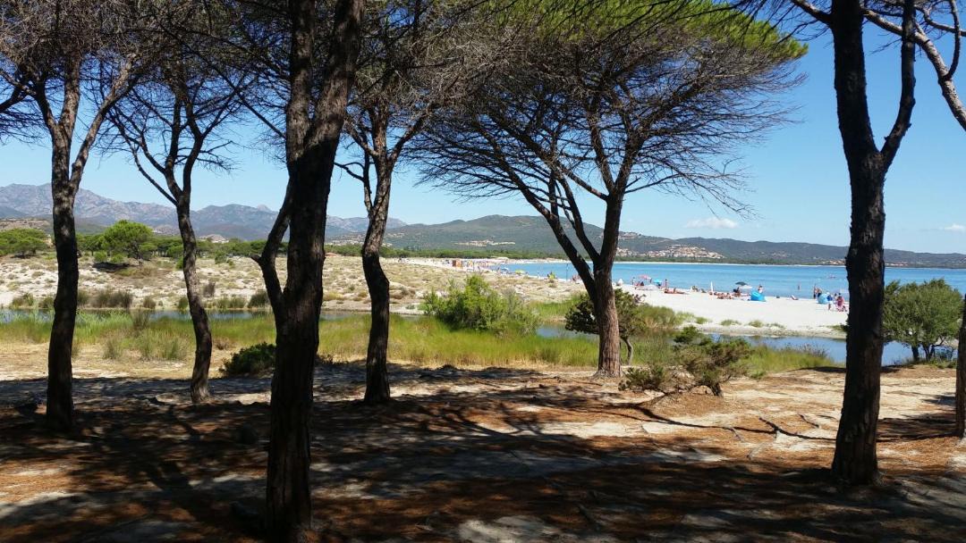 Photo of Outdoor in Budoni