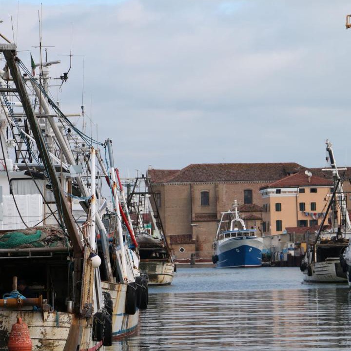 Photo of Others in Chioggia