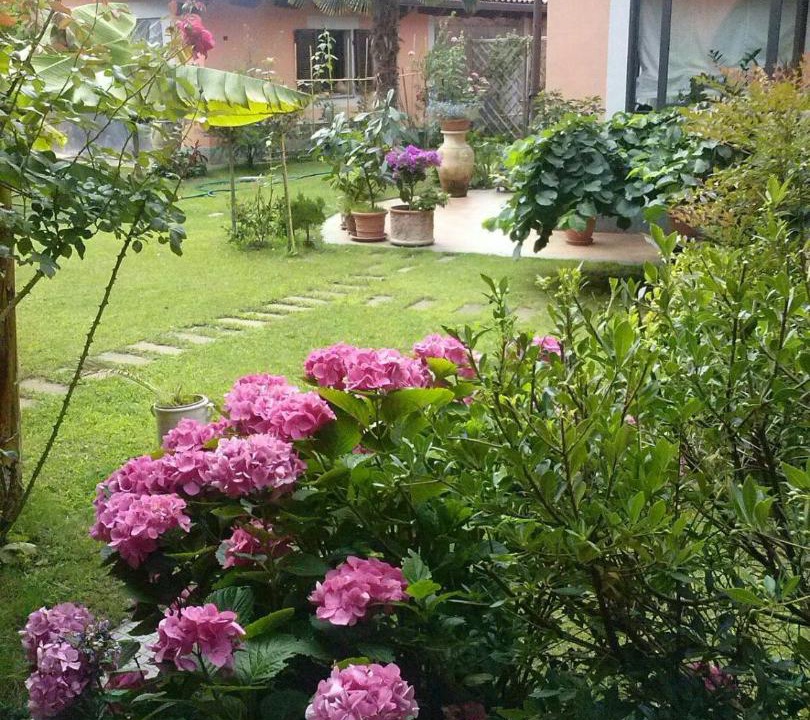 Photo of Others in Caselle Torinese