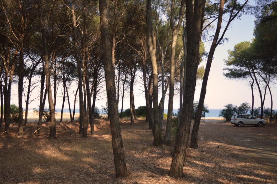 Photo of Others in Squillace