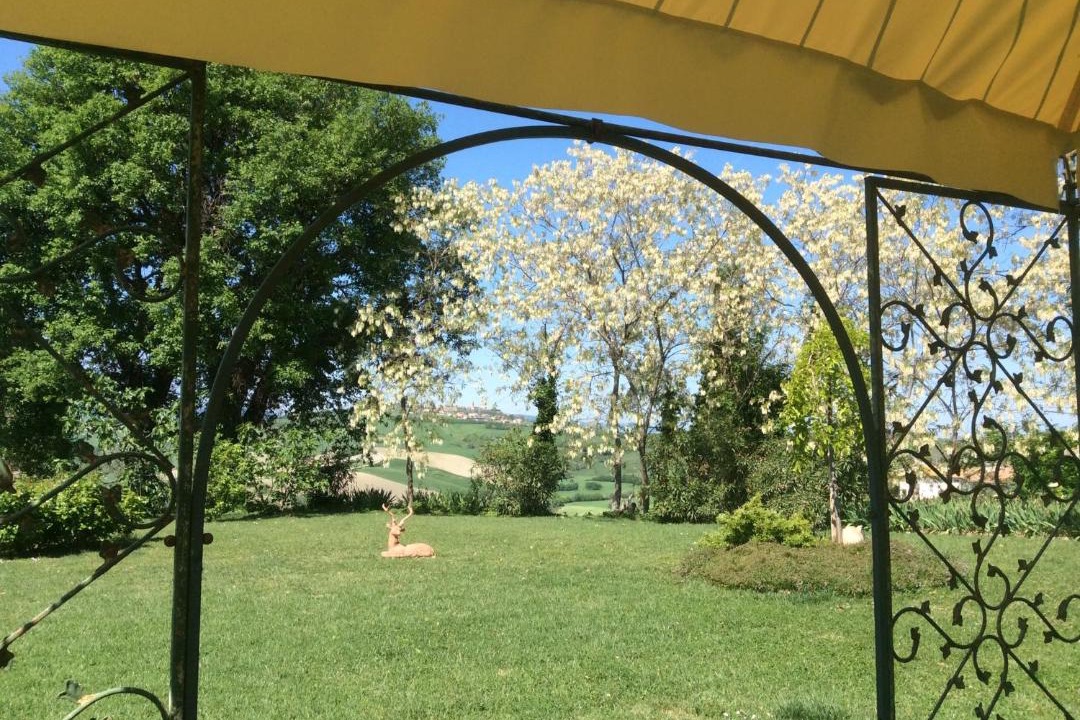 Photo of Others in Mondavio
