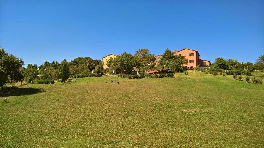 Photo of Others in Sarteano