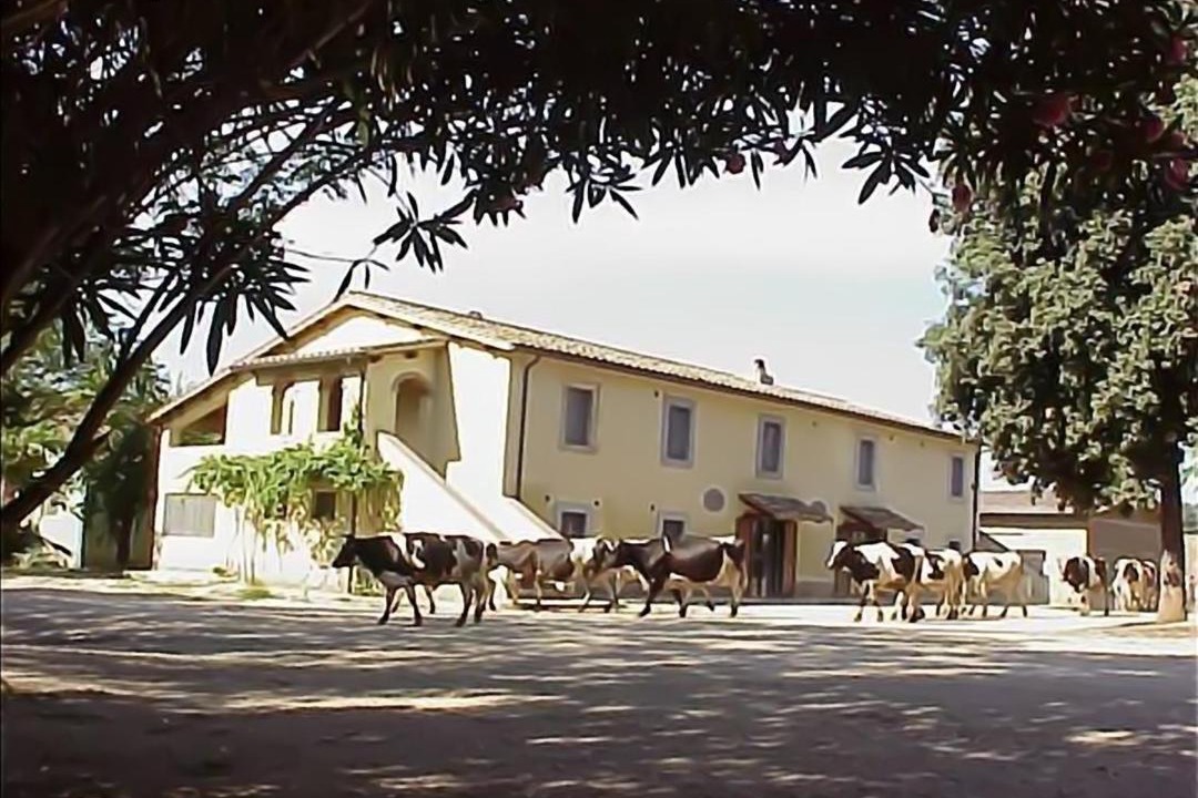 Photo of Others in Orte